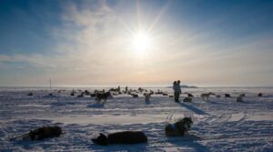 Nunavut has 1 year left before devolution comes into effect. Is the territory ready?