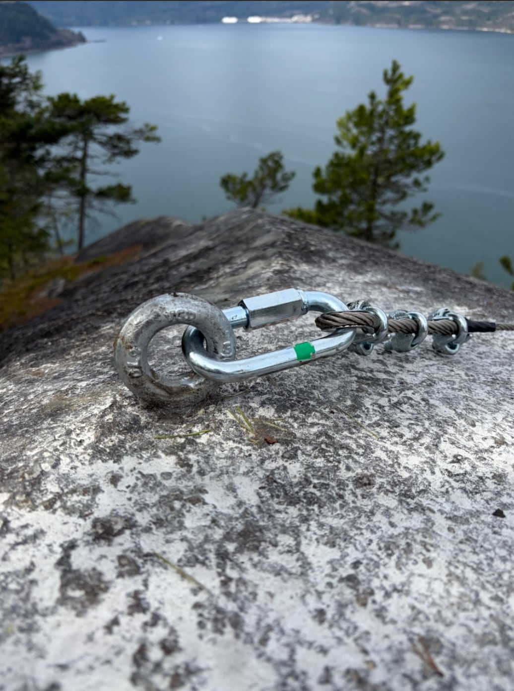 A carabiner is shown through a metal loop on a rock.