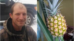 Yukon man grows pineapple at home — and it only took 9 years