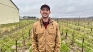 Tough winter conditions could impact grape harvest as Ontario wine booms