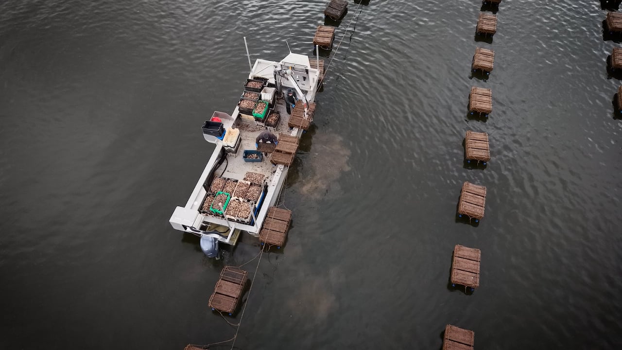 A fishing boat is seen on the water alongside brown crates.