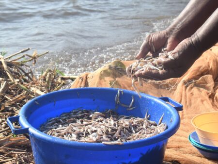 Kenyan women defy fishing taboos as climate change threatens Lake Victoria