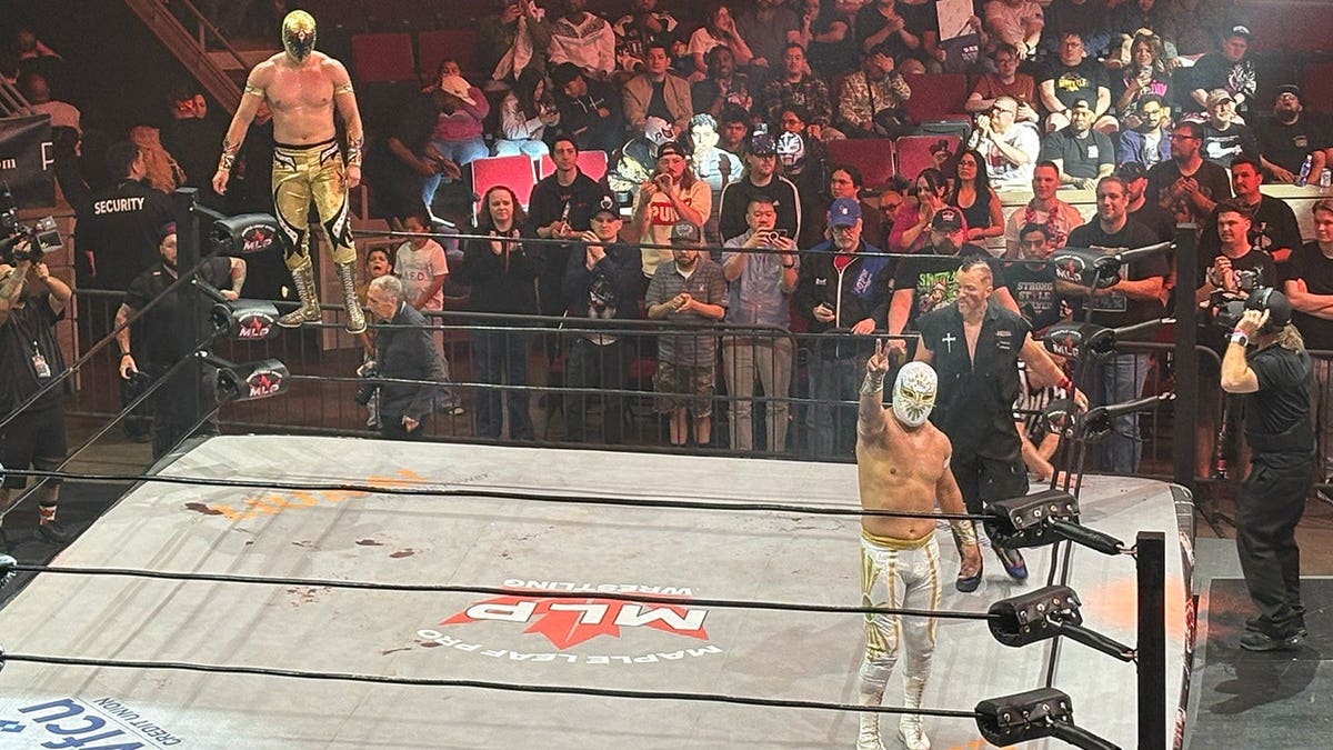 Mistico, Mascara Dorada and Amazing Red celebate