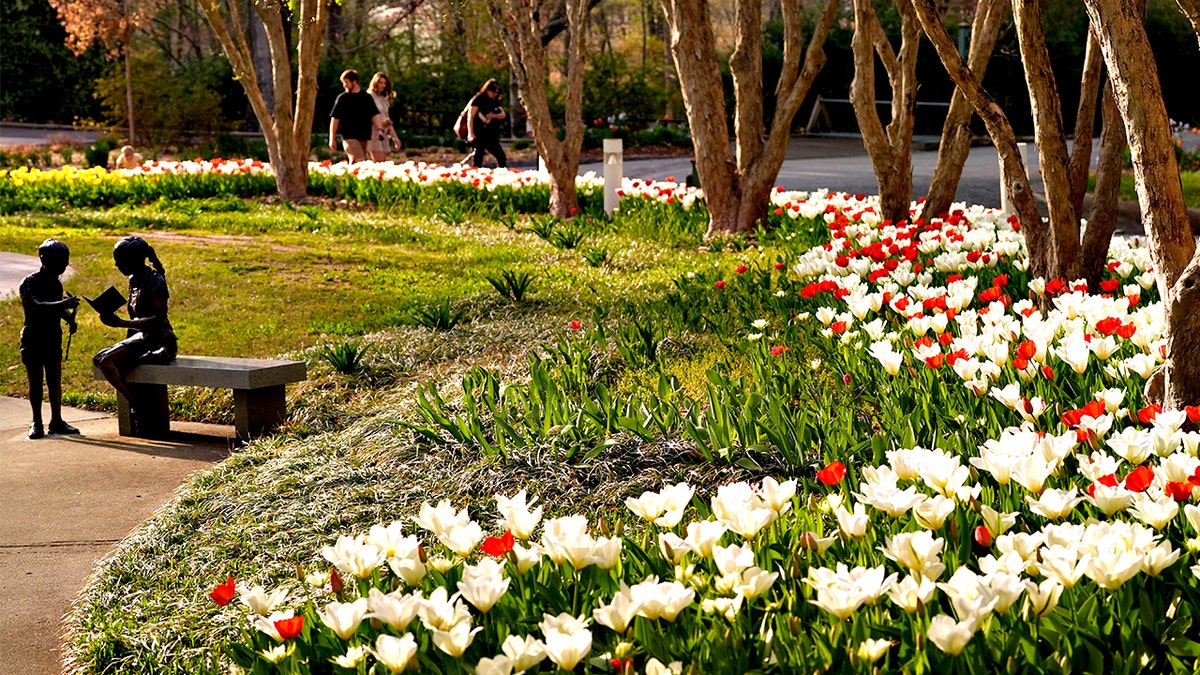 Botanical Garden in Athens Georgia