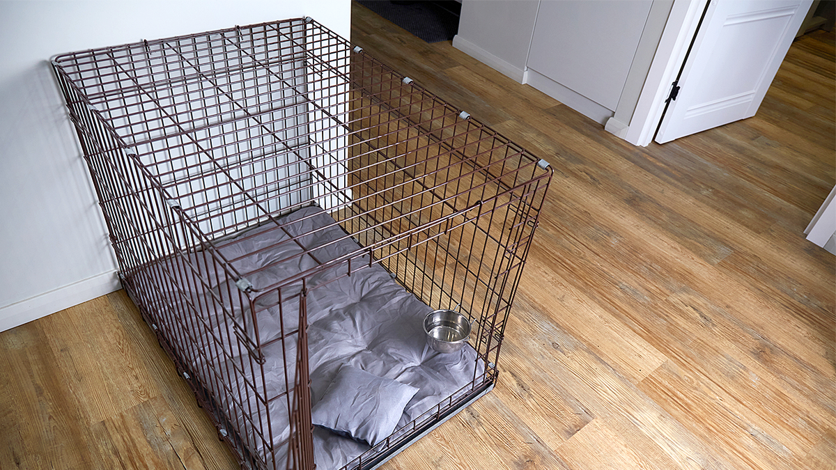 Dog crate
