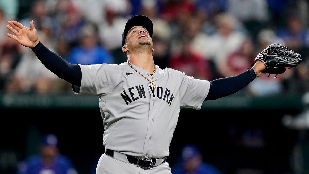 New York Yankees pitcher Fernando Cruz celebrating on the mound during a baseball game