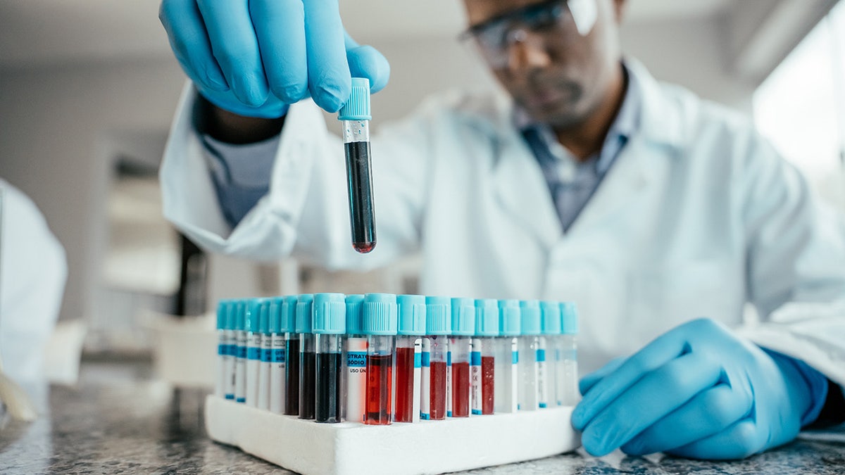 Scientist analyzing blood collection tubes in a laboratory setting