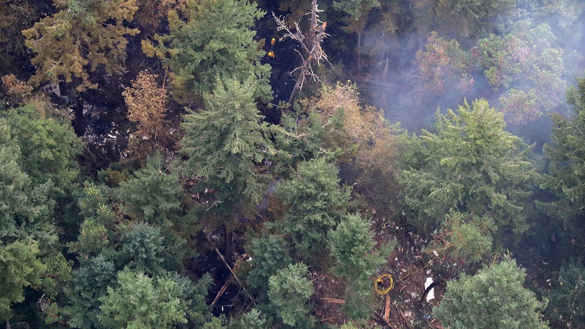 Aerial view of the Horizon Air turboprop plane crash site on Ketron Island Washington
