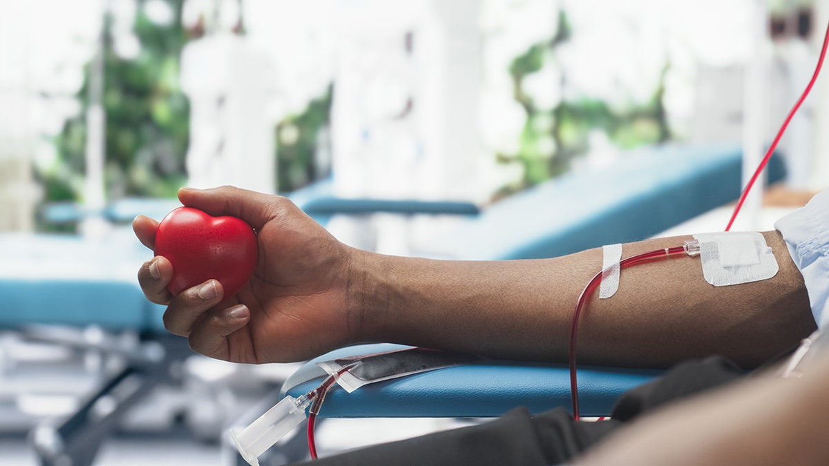 Close Up Shot Of Hand Of Male Blood Donor With an Attached Catheter. Black Man Holding Heart-Shaped Red Ball To Pump Blood Through The Tubing Into Bag. Donation For Organ Transplant Patients: new tests may be able to detect junk food consumption from blood and urine samples