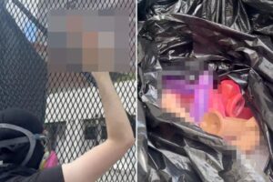 Anti-ICE agitators unleash bizarre X-rated protest in downtown LA