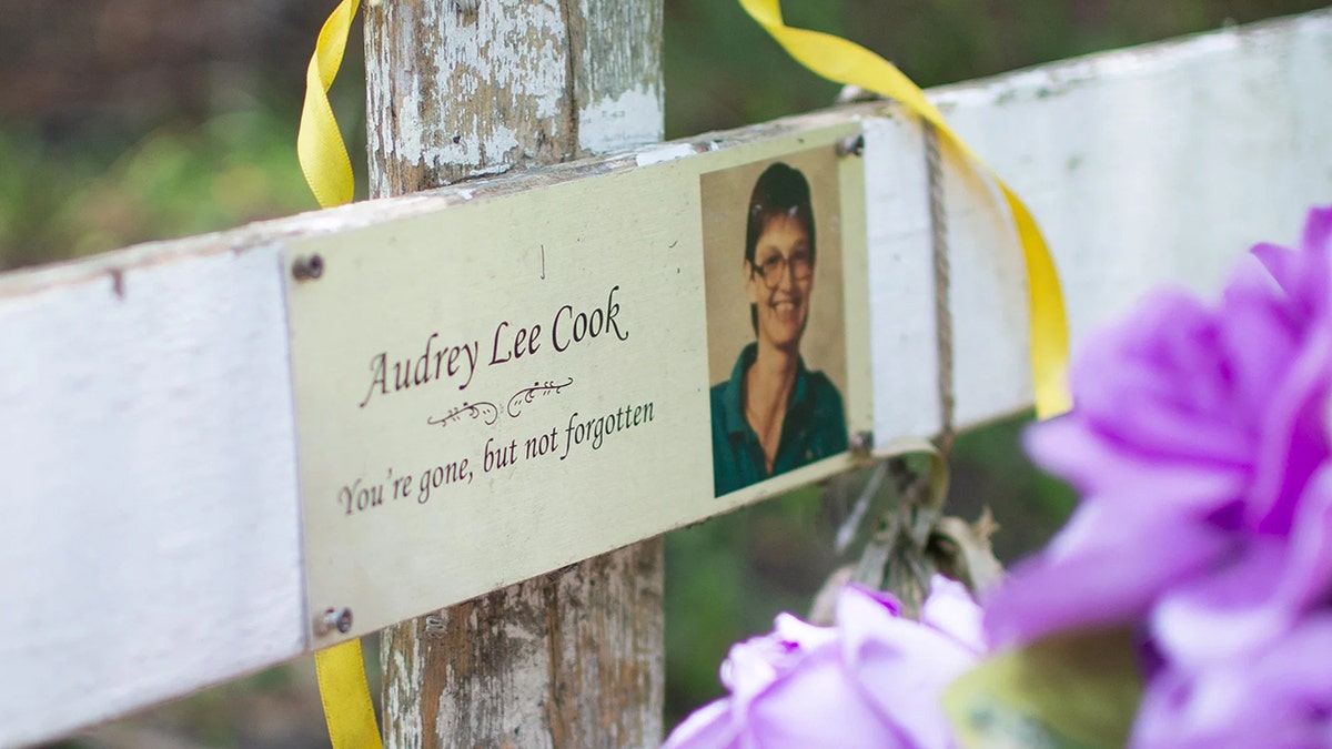 "Texas Killing Fields" victim Audrey Lee Cook