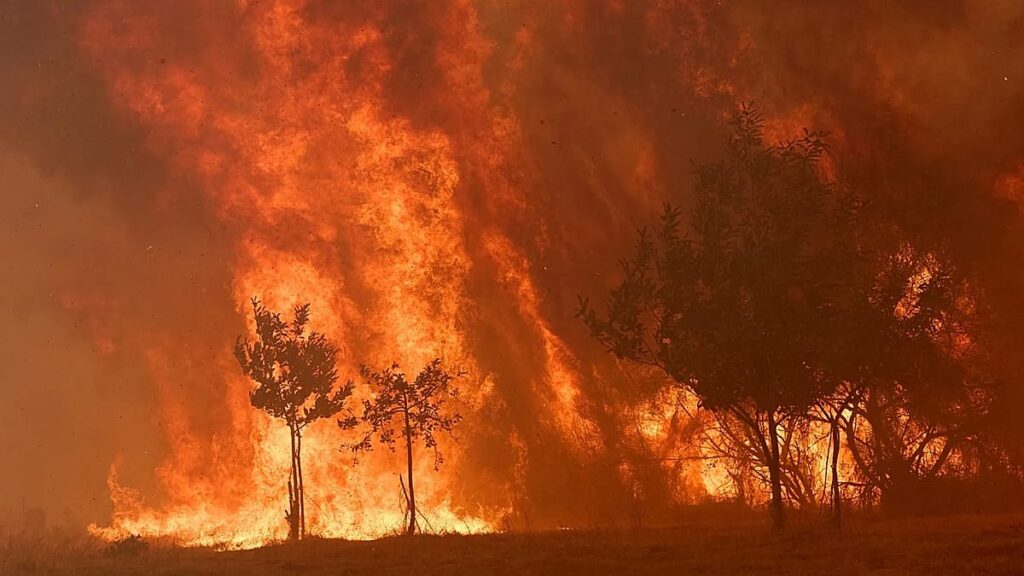 Spain to launch biggest wildfire campaign after record losses in 2025