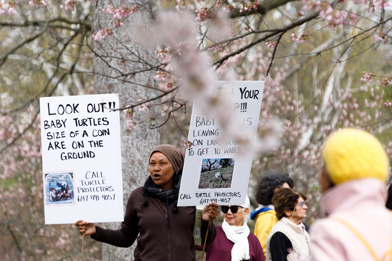 A woman holding up two posters as people mill about a cherry tree grove.