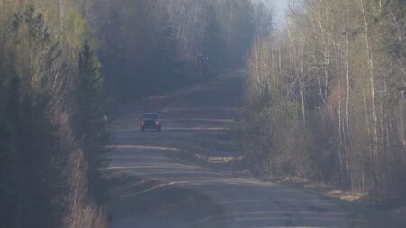 ‘Raining down ash’: Fast-moving wildfire continues to rage near Whitecourt, Alta.