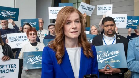 Michigan Senate hopeful courting progressives entertains Iron Dome for Palestinians