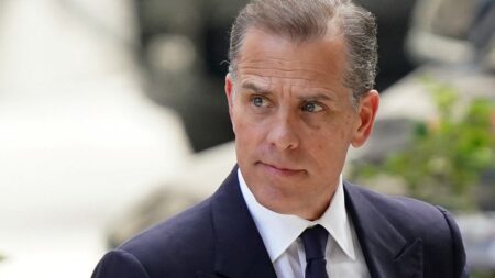 ‘Hunter Biden’ X account debuts with eyebrow-raising claim as GOP lawmakers pile on
