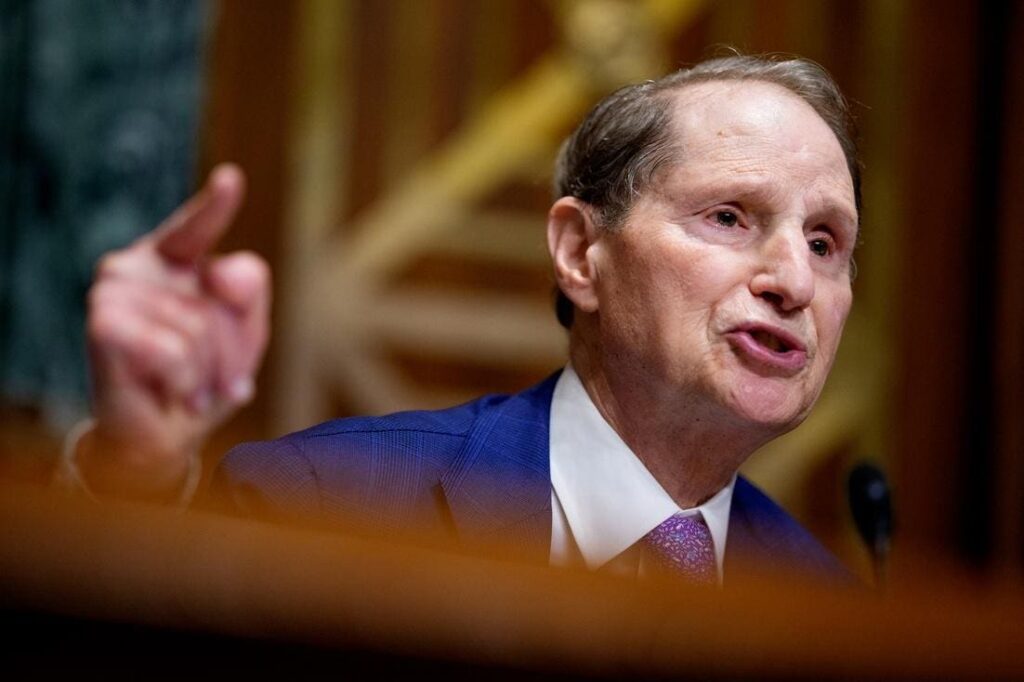 Senate Democrats Vow To Develop A Long-Term Care Reform Plan