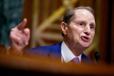 Senate Democrats Vow To Develop A Long-Term Care Reform Plan