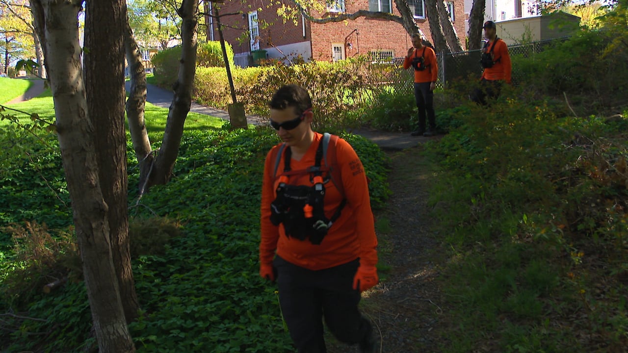 Three searchers looking for a missing baby are shown in a wooded area.