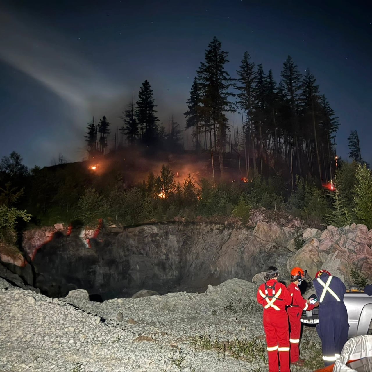 Firefighters are pictured with a forest fire lighting up the background.