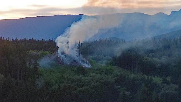 Crews continue to battle Maple Ridge wildfire