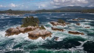New protected marine reserve, larger than P.E.I., to be established on B.C.’s Central Coast