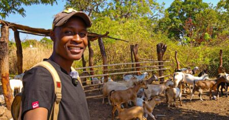 How social media is influencing Zimbabwe’s diaspora investors
