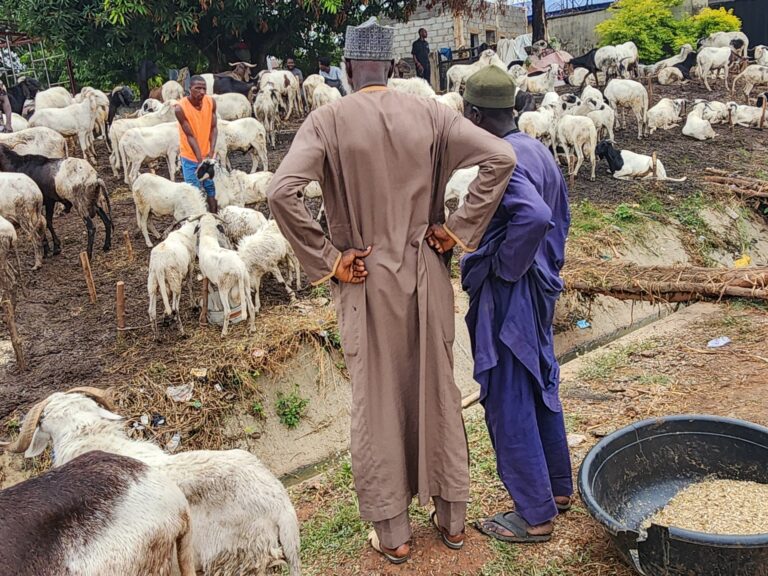 How Nigeria’s economic strain is changing Eid spending