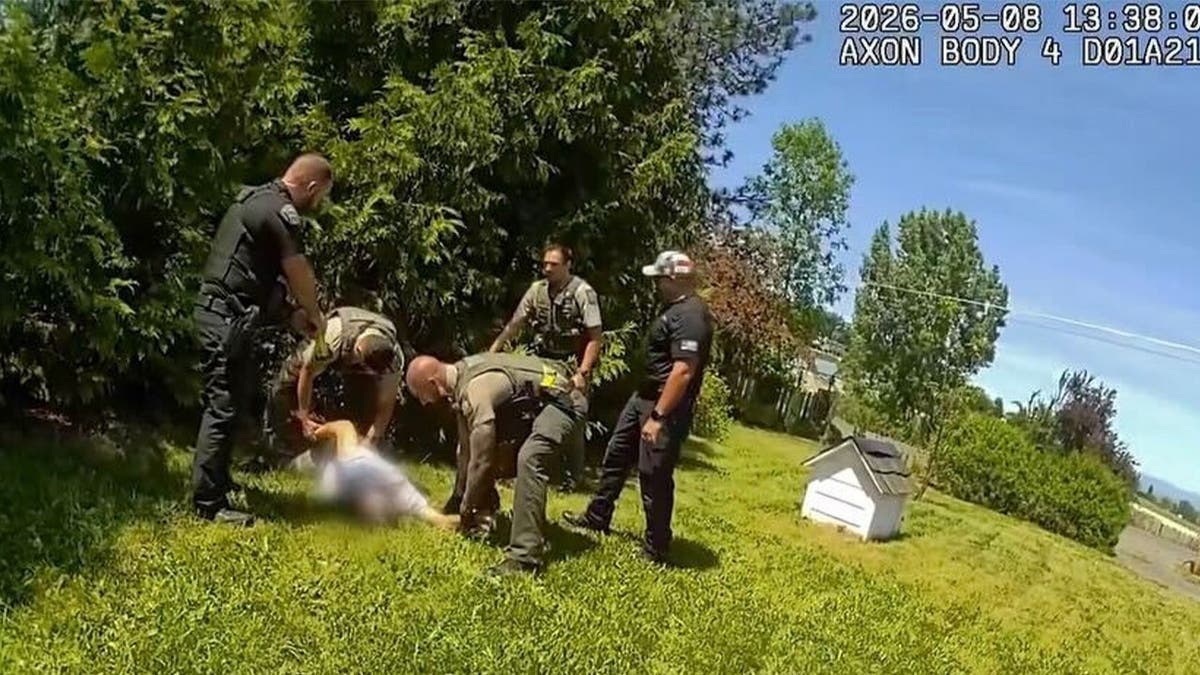 Police take suspect in custody