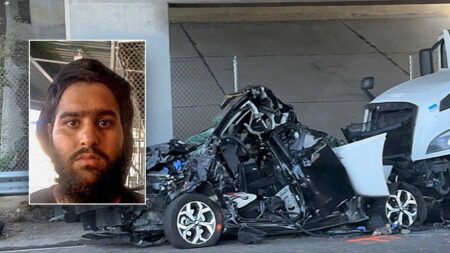 Illegal immigrant truck driver from India arrested in deadly California hit-and-run after Biden release