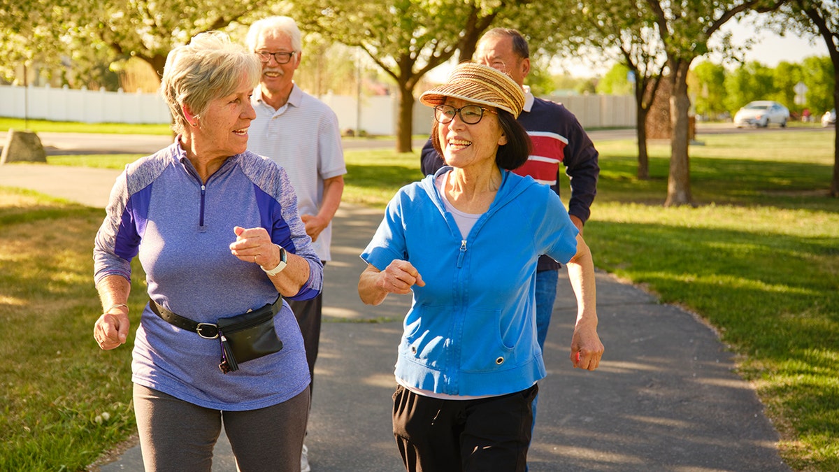 A group of older adults walking and talking on a sunny park path lined with trees and grass