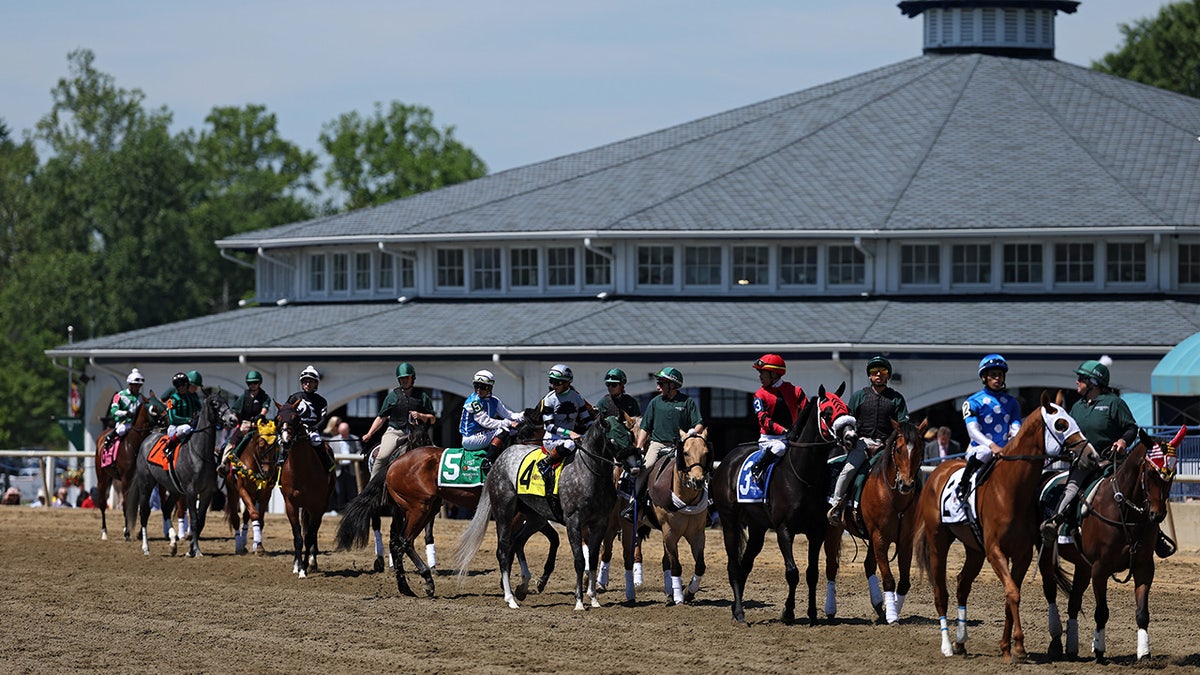 Horses at Preakness