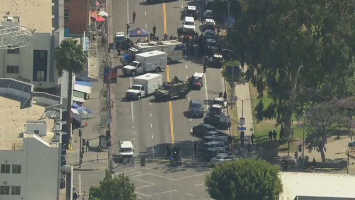 Authorities conducting a sweep at MacArthur Park in Los Angeles