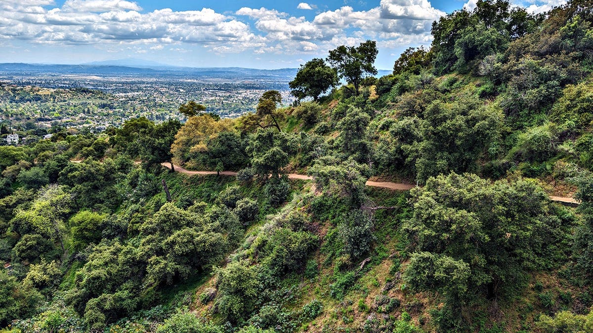 Mount Wilson Trail above Sierra Madre with San Gabriel Valley in the background