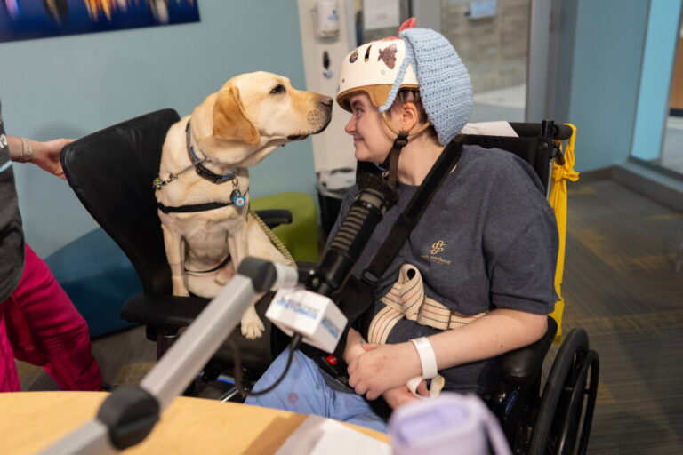 Meet the hospital dogs that provide full-time care for young sick patients