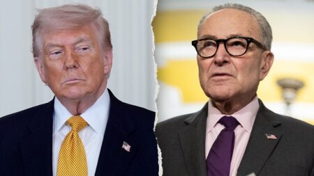 Republicans emerge as biggest threat to Trump’s controversial DOJ fund
