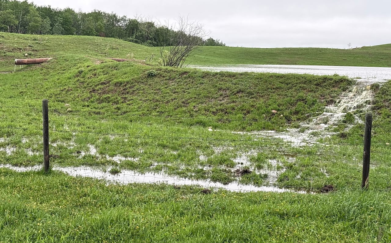 A pond in a green field that is overflowing with water over the front side. The water is leading down into the ditch.