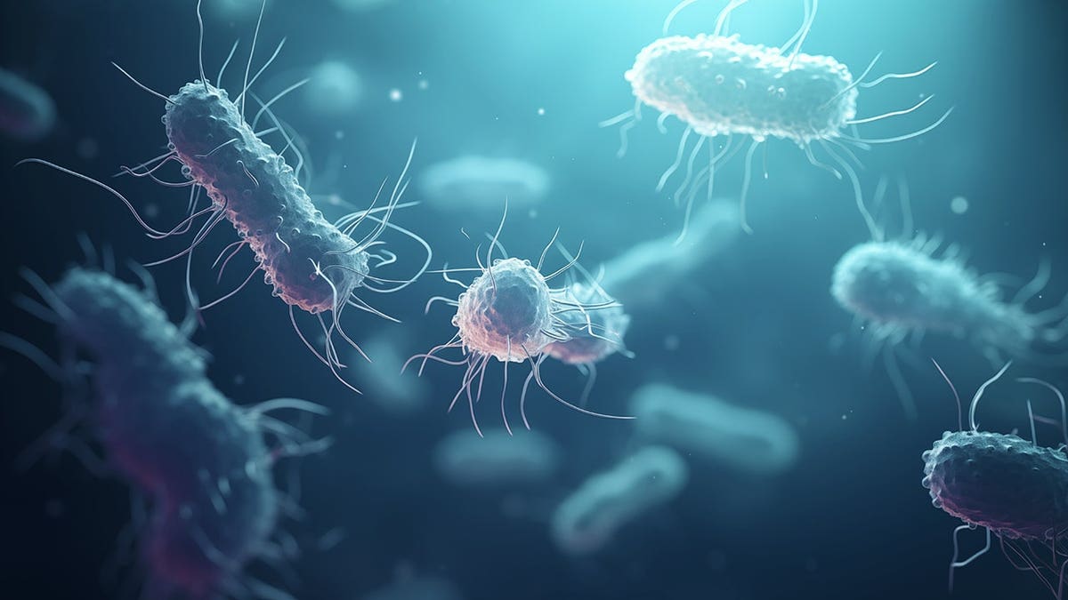 Illustration of bacteria germs and pathogens