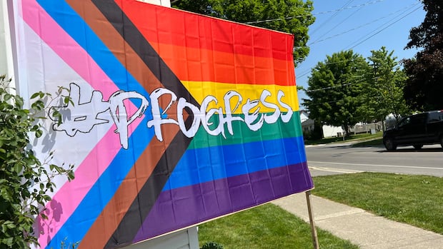 Pride flag stolen, flagpole cut down at Norwich school, OPP seek suspects