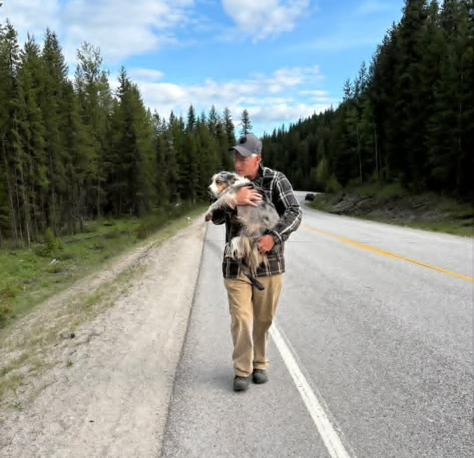 A man hugs a dog while walking along a highway.
