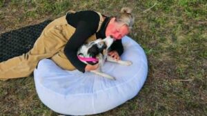 Kelowna dog safe at home after surviving, running away from rollover crash
