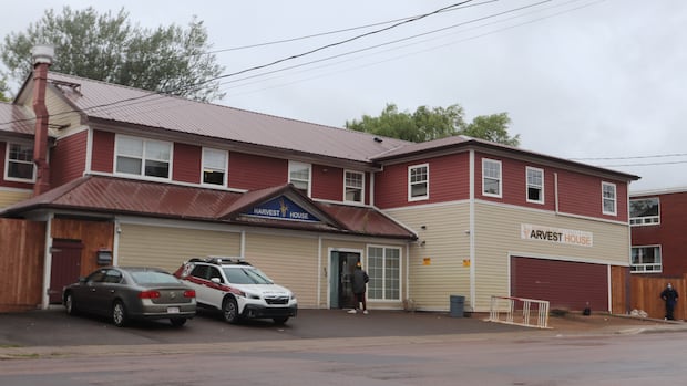 ‘We’ve never seen a spike like this’: Veterinary tranquillizer suspected in Moncton overdose surge