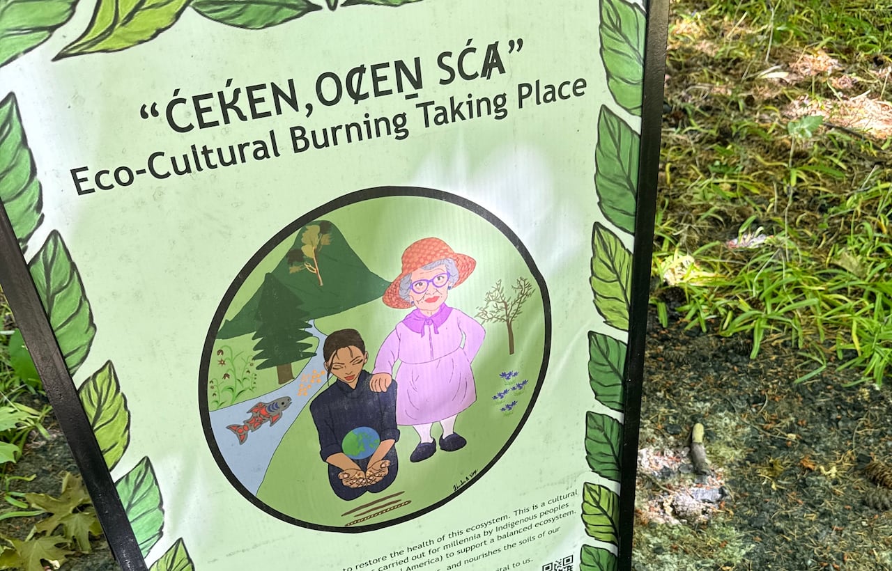 A sign is pictured describing an Indigenous cultural burning event.