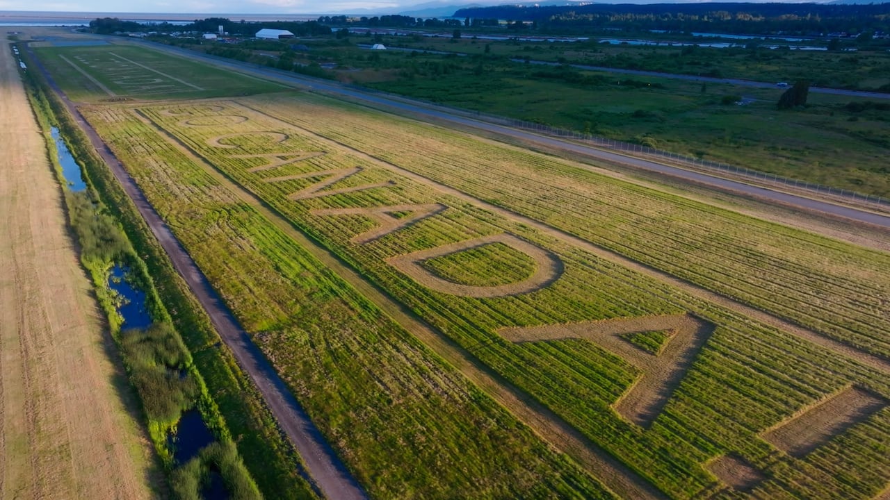 "Go Canada!" is written on a large grass surface.