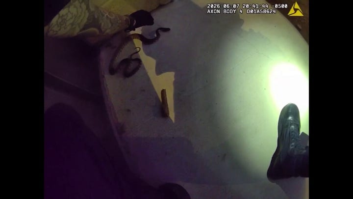 Bodycam shows Texas officer using gloved hands to remove snake from neighborhood