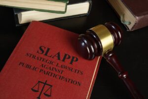 Minnesota UPEPA Held Constitutional And To Apply To Initiating Complaints In Anderson