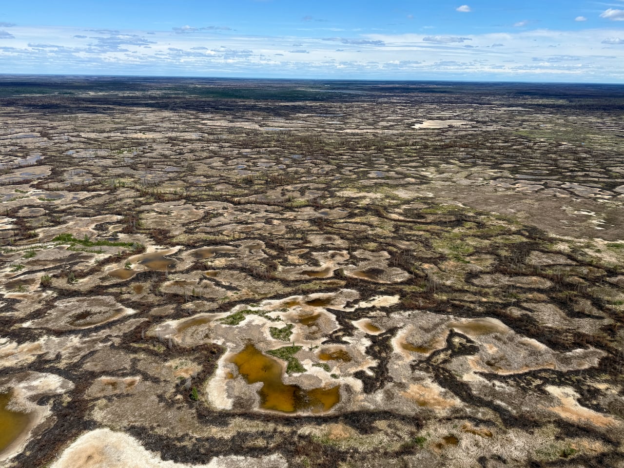 Marsh and bog is seen from a bird's-eye view