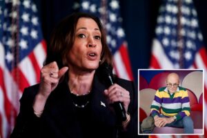 Carville urges Democrats to move on from Kamala Harris, says he doesn’t ‘feel sorry’