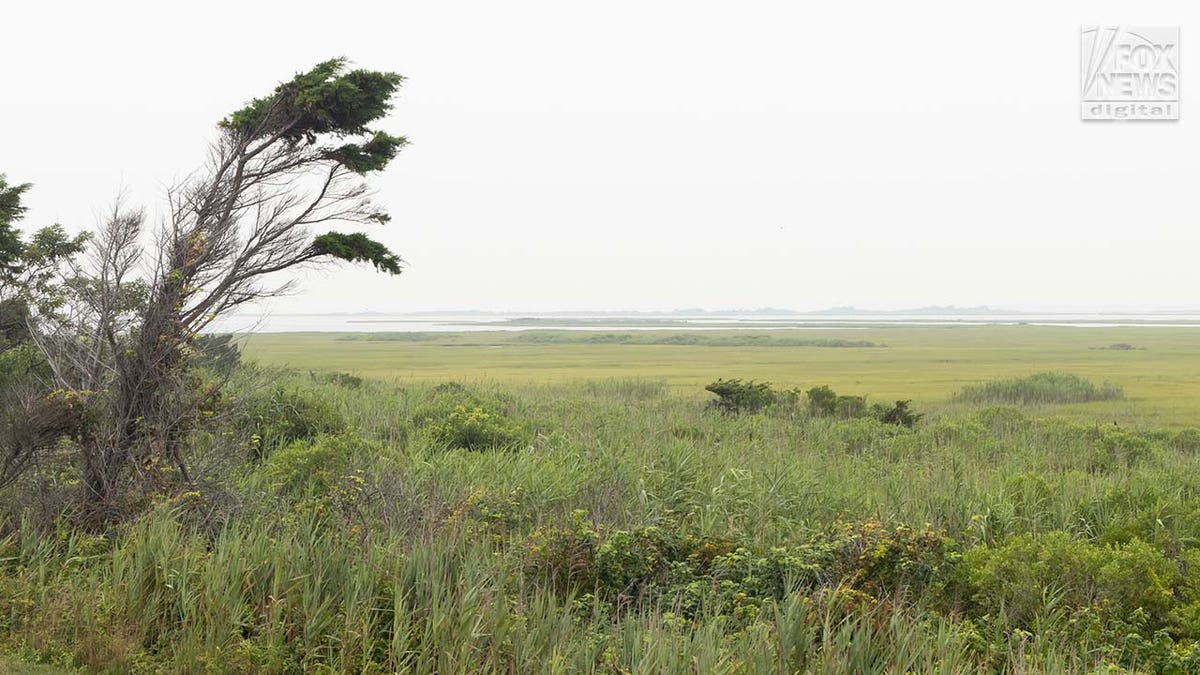 A general view of Gilgo Beach on Long Island, New York.
