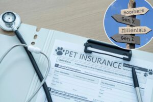 The 2026 petflation crisis: How outrageous vet bills are breaking everyone from Gen Z to Boomers